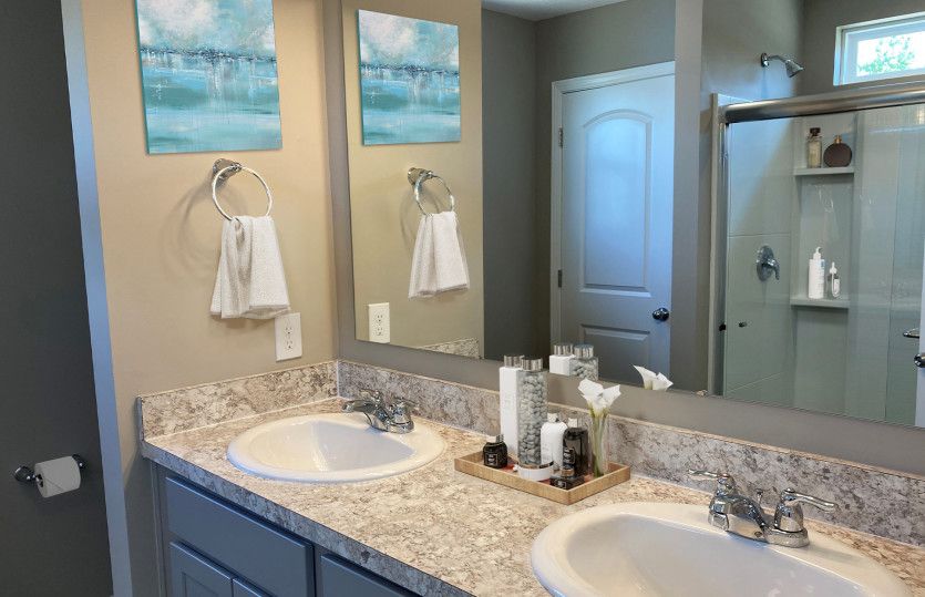Owner's Bath