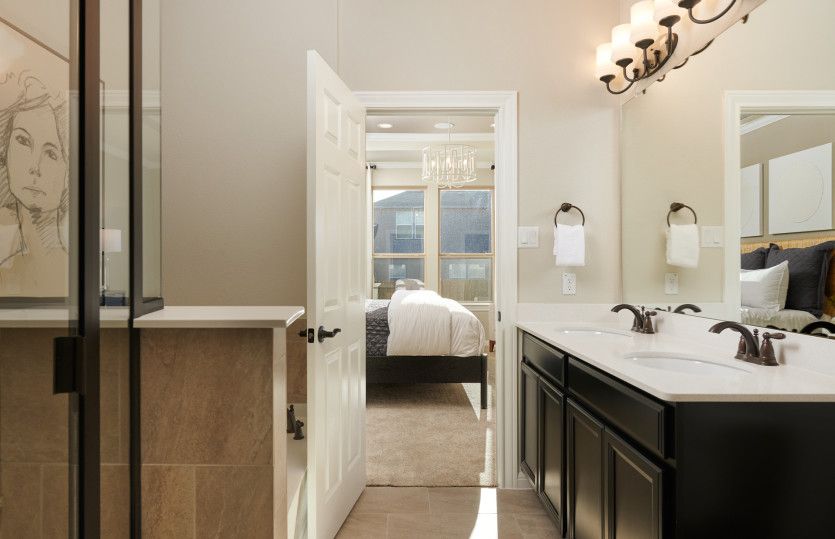 Owner's Bath