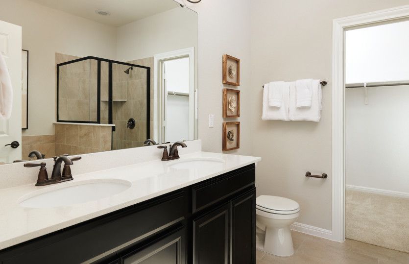 Owner's Bath