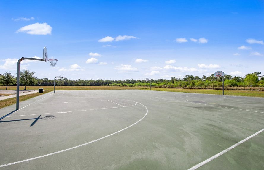Basketball Court