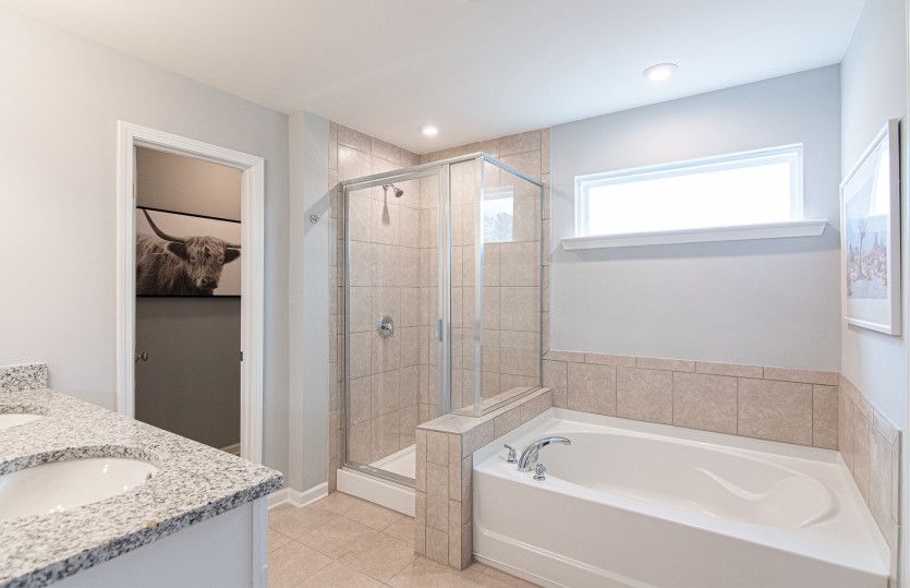 Owner's Bath with Ample Natural Lighting