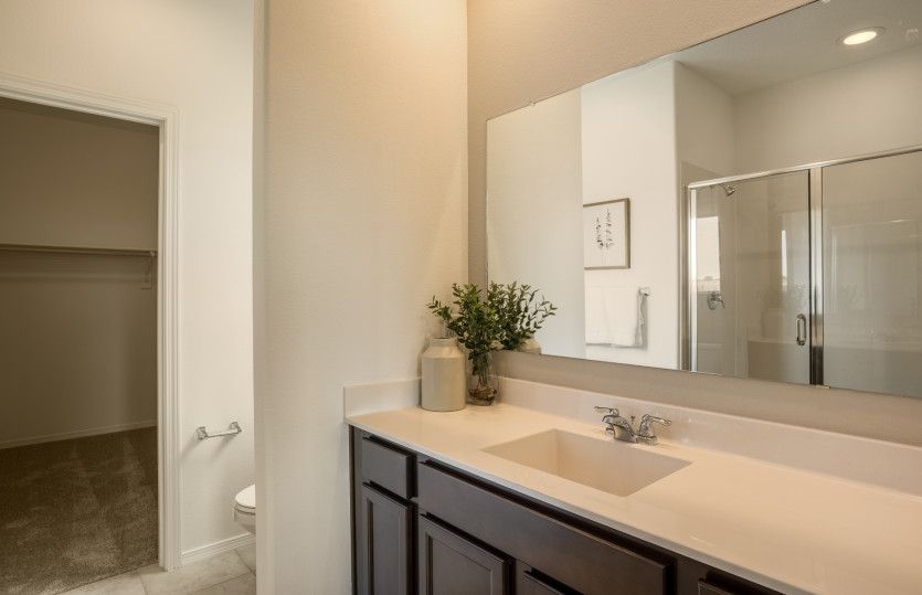 Private owner's bath featuring a walk-in shower and spacious closet.