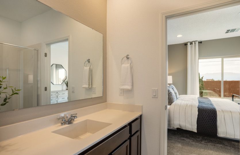 The owner's bath has ample counter space and a large mirror.