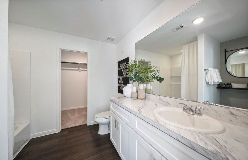 Extended Vanity in Owner's Bath
