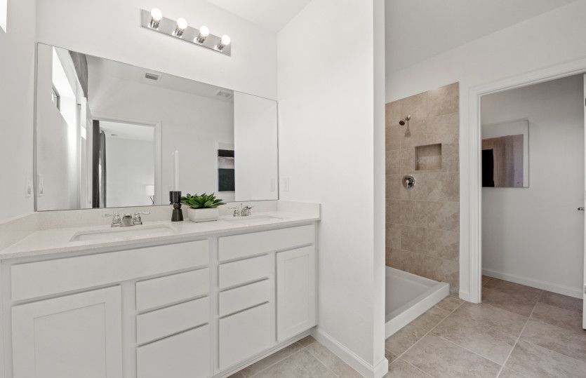 Owner's bathroom with shower
