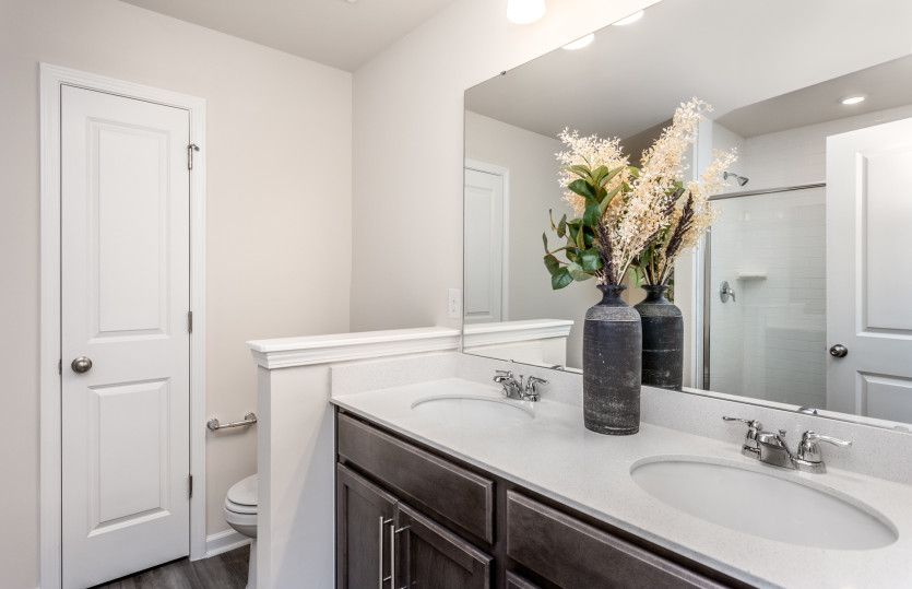 Owner's Bath