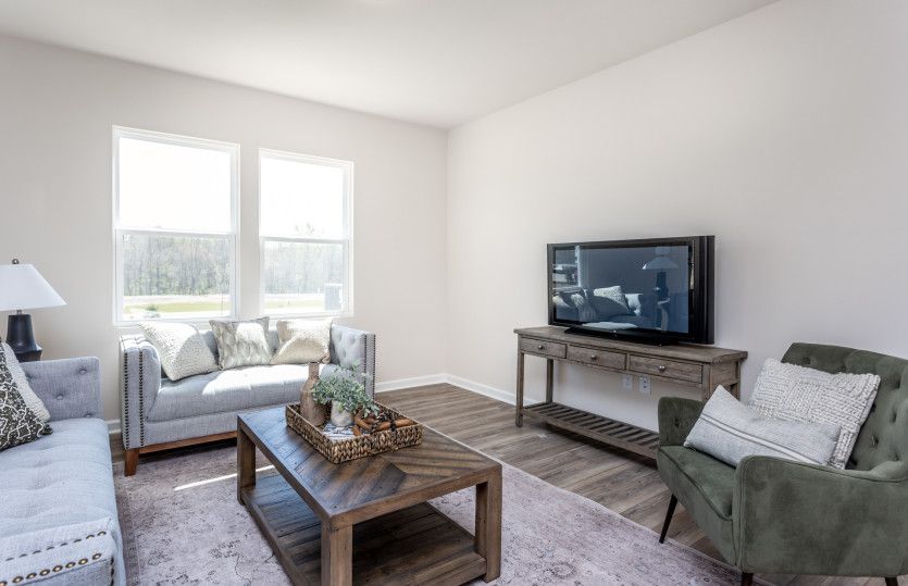 Gathering Room ready for a Movie Night or Relaxing with a Book - Model Representation