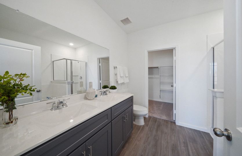 Owner's Bath