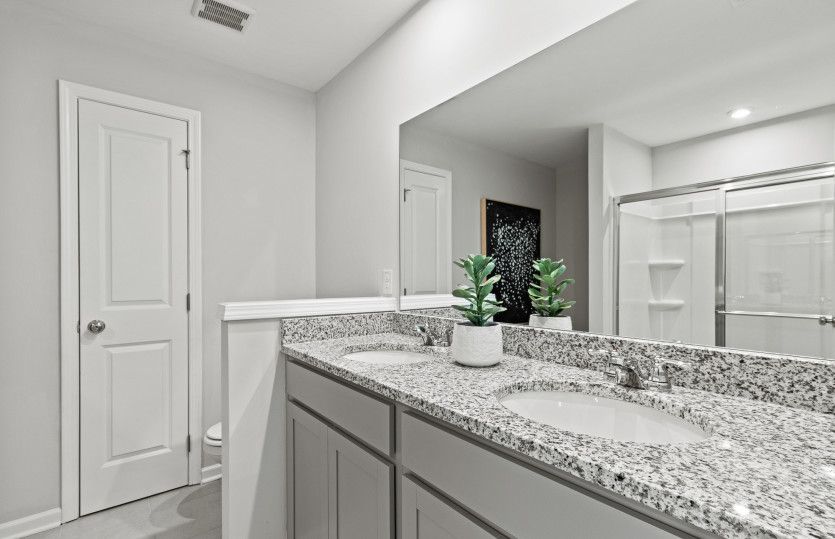 Owner's Bath
