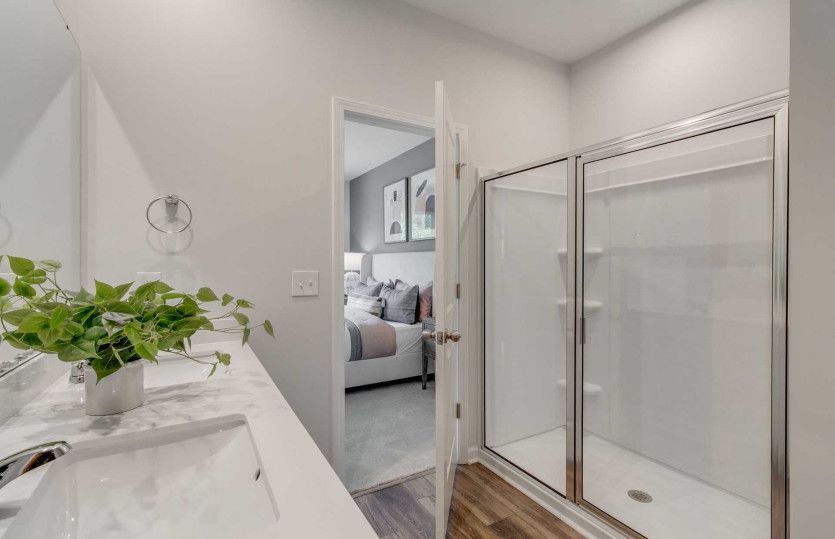 Owner's Bath and walk-in shower.
