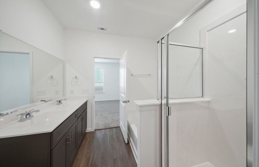 Owner's Bath