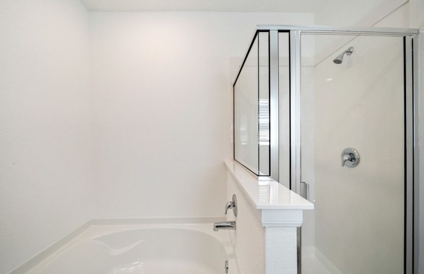 Owner's Bathroom