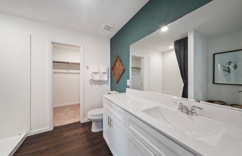 Extended Vanity in Owner's Bath