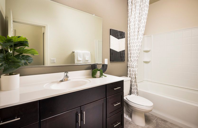 New Homes Available Now