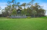 Home in Peppervine by Centex Homes