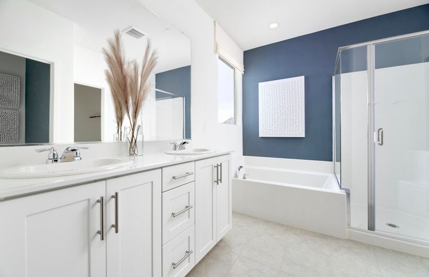 Owner's Bathroom