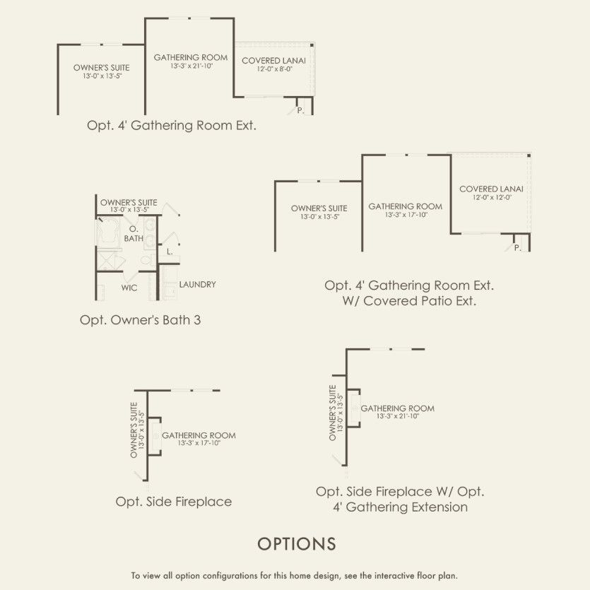 Options