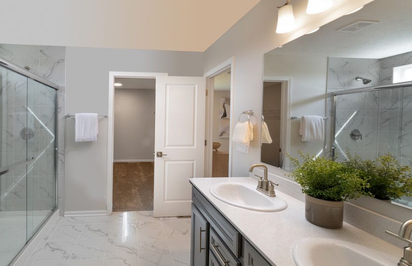 Owner's Bath