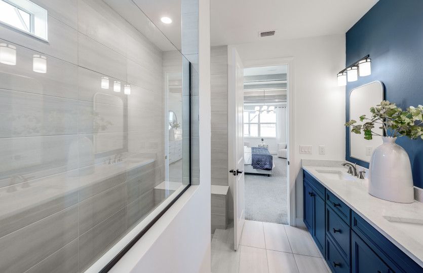 Owner's bathroom