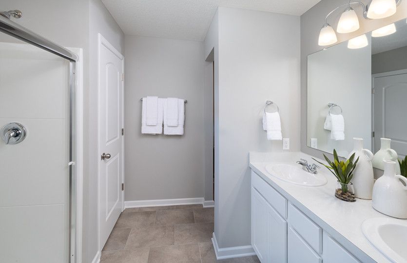 Owner's Bath