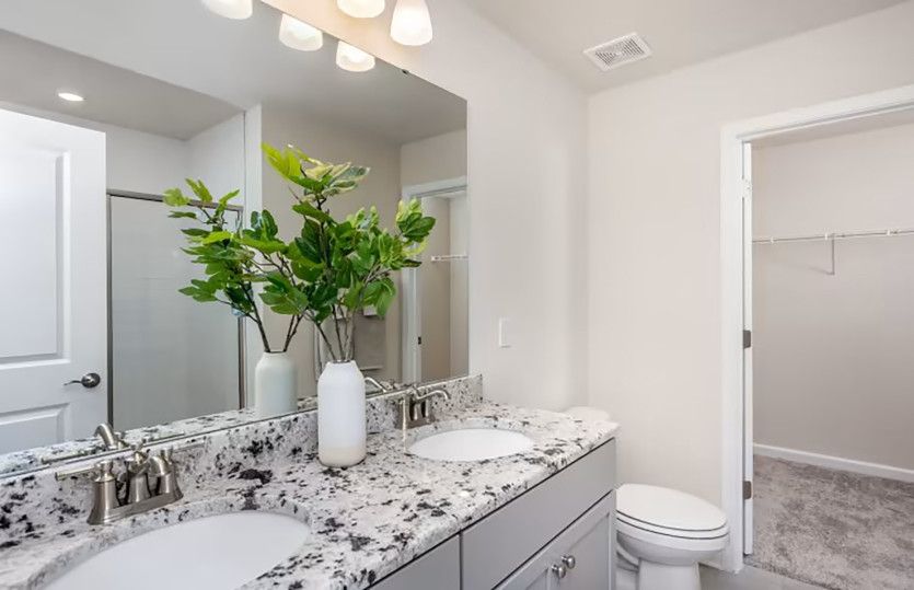 Owner's Suite bathroom