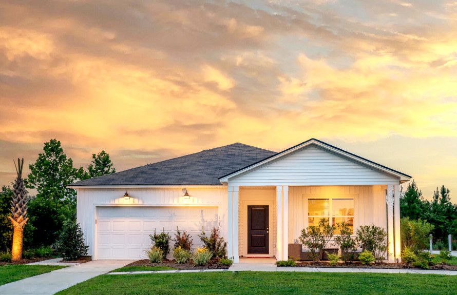 Ibis Model- Coming Soon