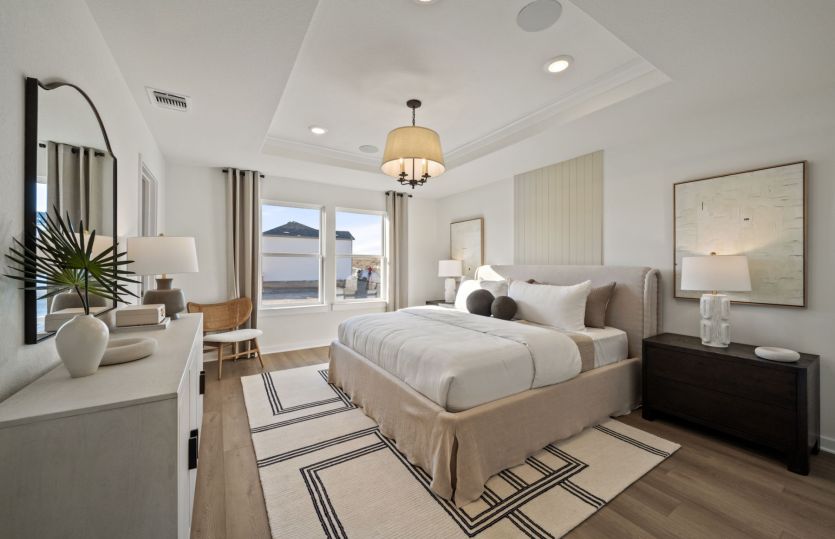 Owner's Bedroom with Tray Ceilings