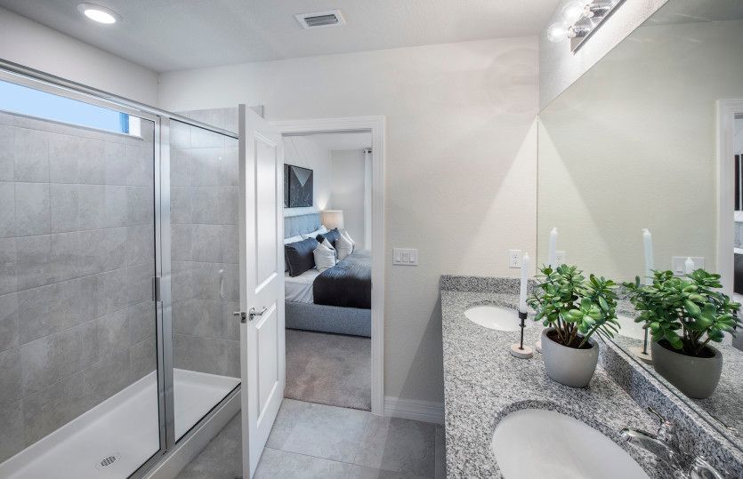 Owner's bathroom