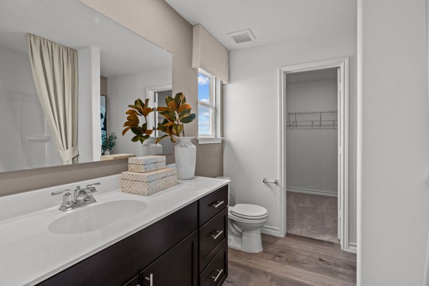 Owner's Bathroom
