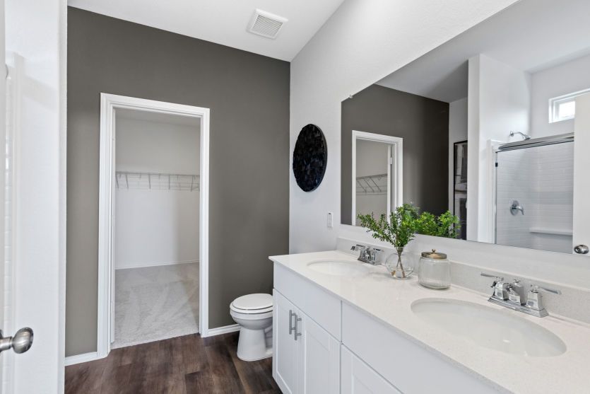 Owner's Bath