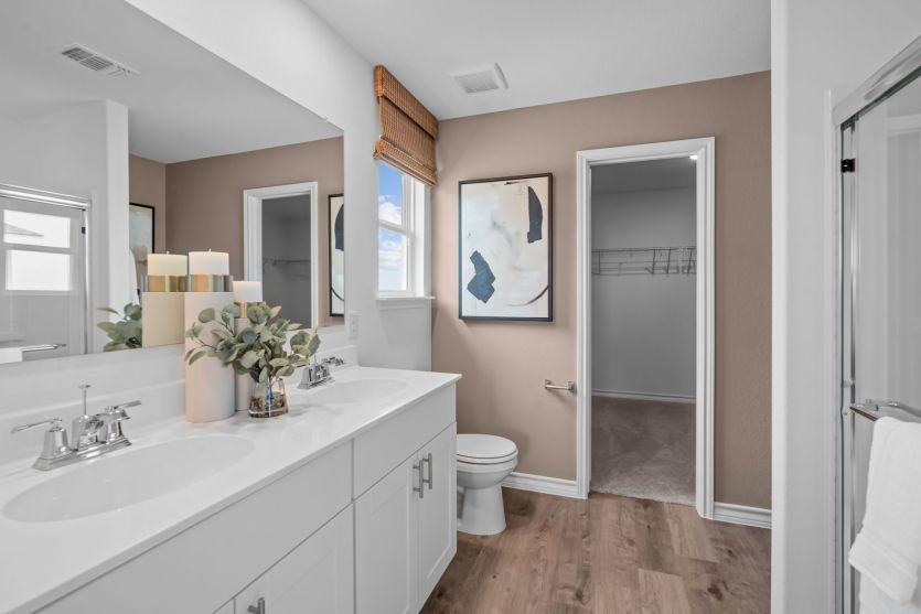 Owner's Bathroom
