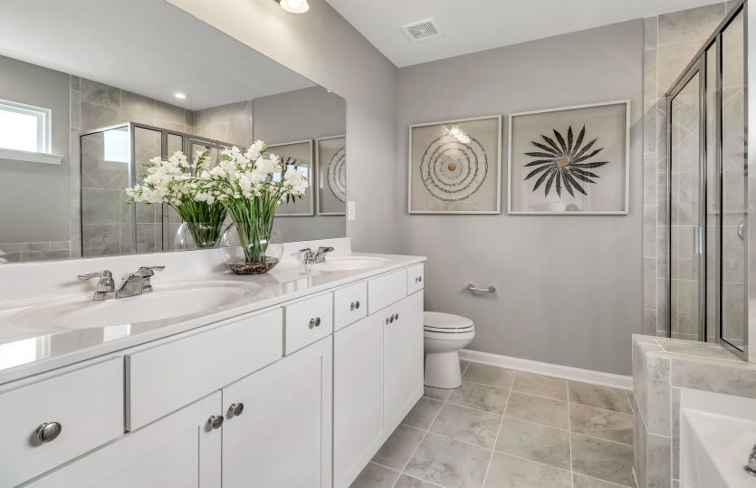 Owner's Bath