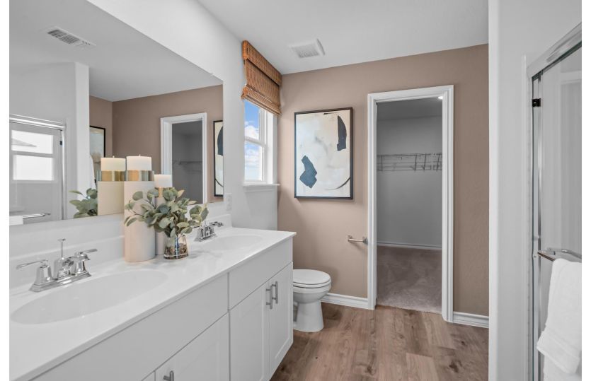 Owner's Bath