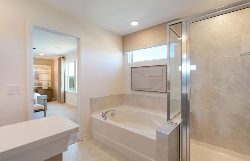 Owner's Bathroom