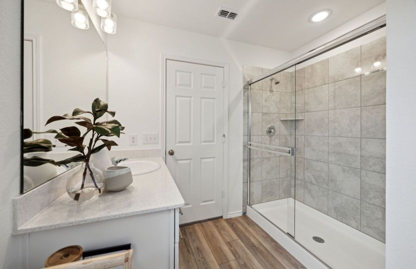 Owner's bath with large shower