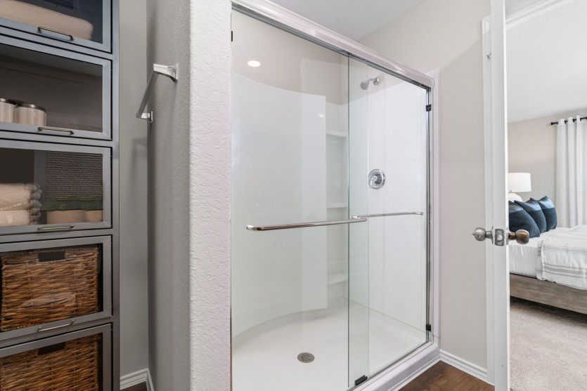 Owner's Bath