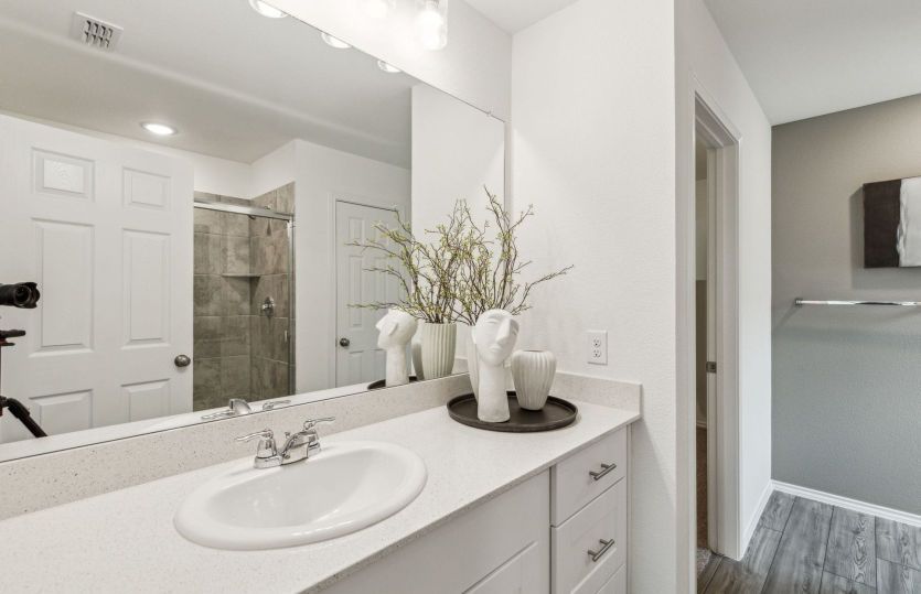 Spacious owner's bath