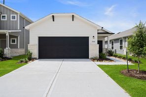 21646 Fox Gully Lane (Beeville)