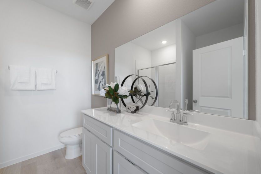 Owner's Bathroom
