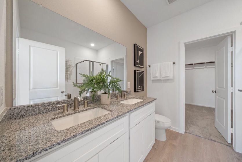 Owner's Bathroom
