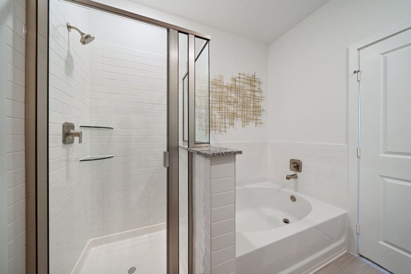 Owner's Bathroom