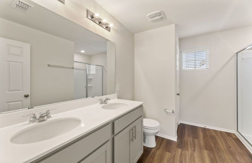 Owner's Bath