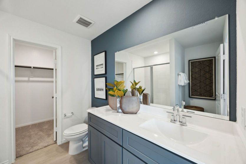 Owner's Bathroom