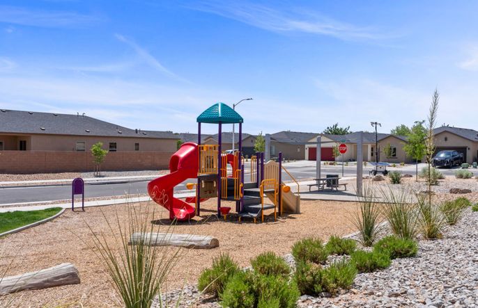 Family Play Structure