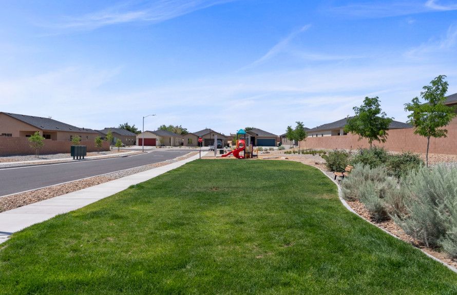 Lush Community Lawn Space