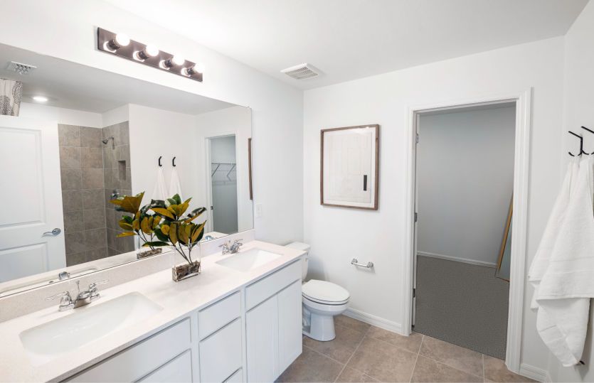 Owner's bathroom