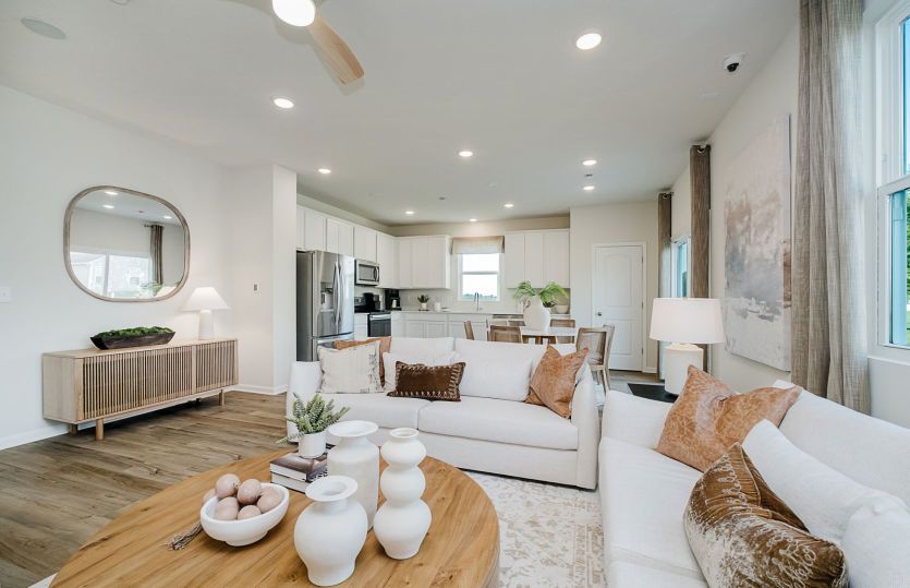 Raven Home Design
