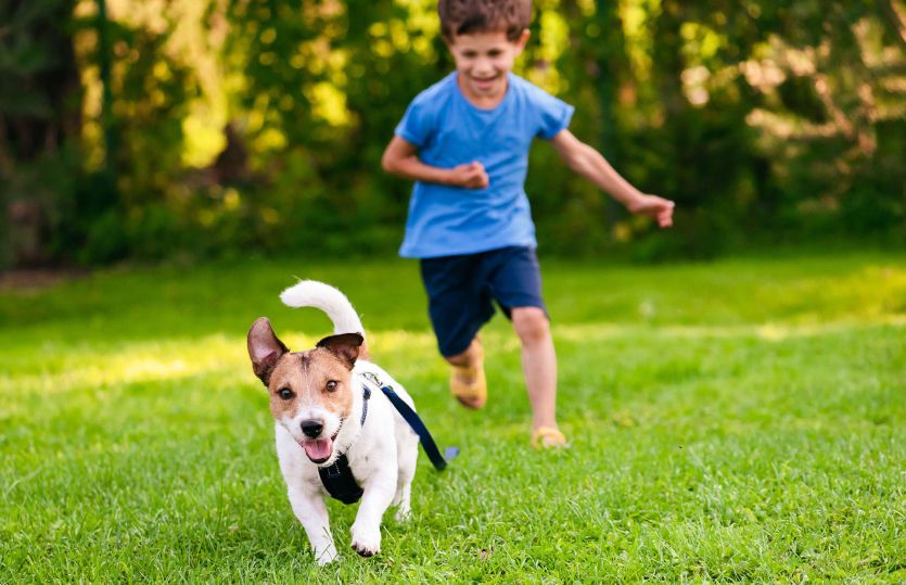 Room to Run & Play in Community Dog Park & Playground