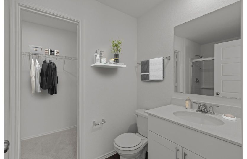 Owner's Bath