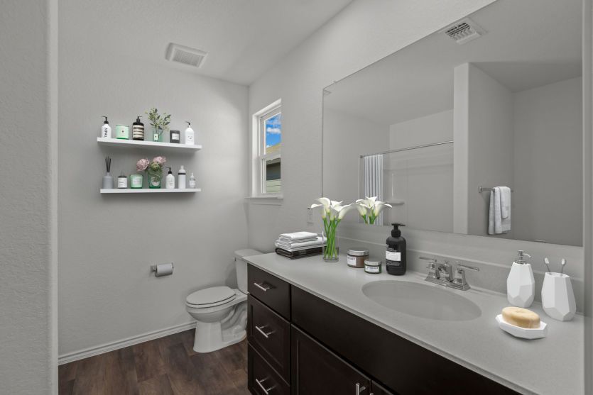 Owner's Bath